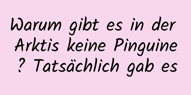Warum gibt es in der Arktis keine Pinguine? Tatsächlich gab es
