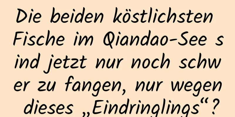 Die beiden köstlichsten Fische im Qiandao-See sind jetzt nur noch schwer zu fangen, nur wegen dieses „Eindringlings“?