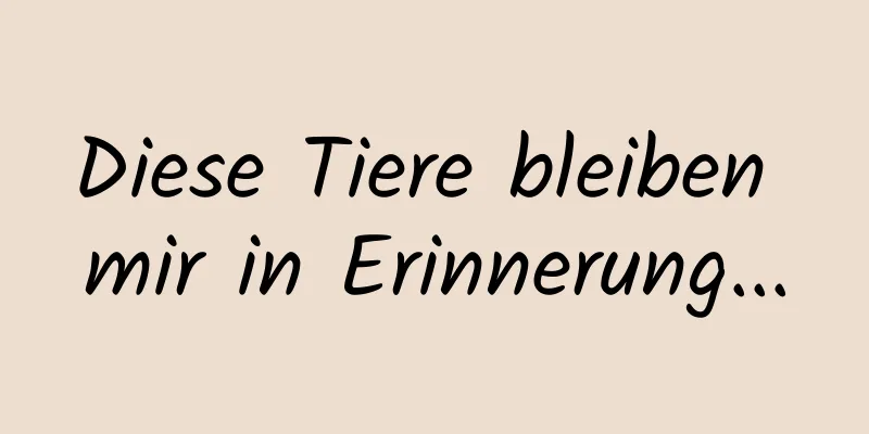 Diese Tiere bleiben mir in Erinnerung...