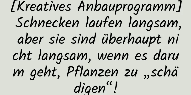 [Kreatives Anbauprogramm] Schnecken laufen langsam, aber sie sind überhaupt nicht langsam, wenn es darum geht, Pflanzen zu „schädigen“!