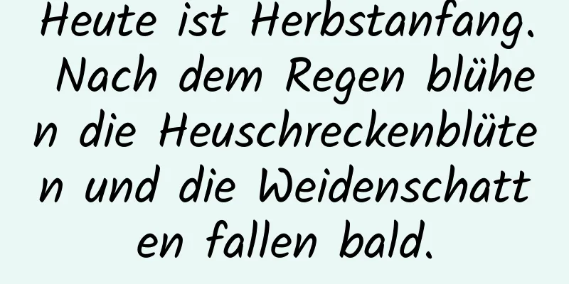 Heute ist Herbstanfang. Nach dem Regen blühen die Heuschreckenblüten und die Weidenschatten fallen bald.