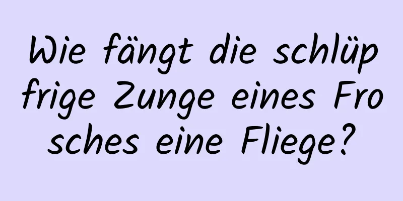 Wie fängt die schlüpfrige Zunge eines Frosches eine Fliege?