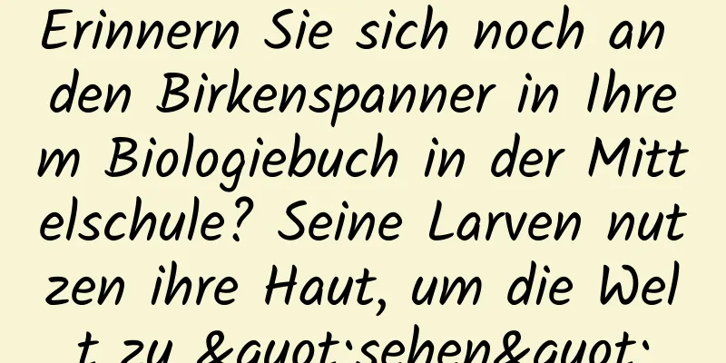 Erinnern Sie sich noch an den Birkenspanner in Ihrem Biologiebuch in der Mittelschule? Seine Larven nutzen ihre Haut, um die Welt zu "sehen"