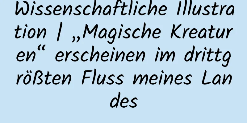 Wissenschaftliche Illustration | „Magische Kreaturen“ erscheinen im drittgrößten Fluss meines Landes