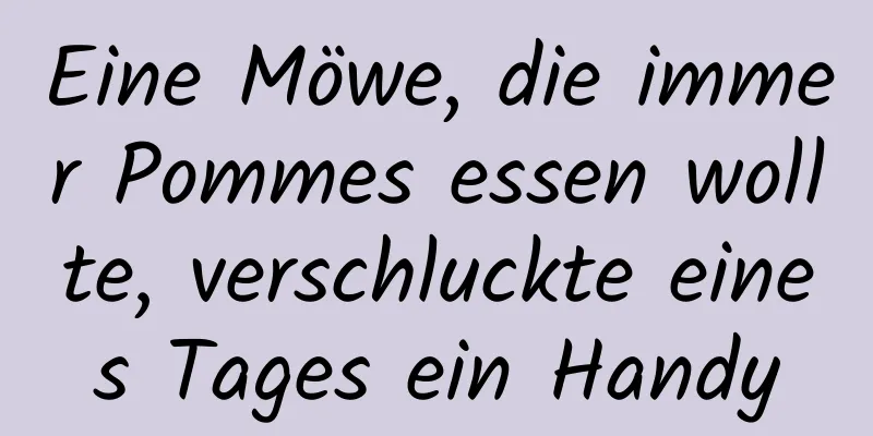 Eine Möwe, die immer Pommes essen wollte, verschluckte eines Tages ein Handy