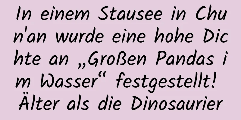 In einem Stausee in Chun'an wurde eine hohe Dichte an „Großen Pandas im Wasser“ festgestellt! Älter als die Dinosaurier