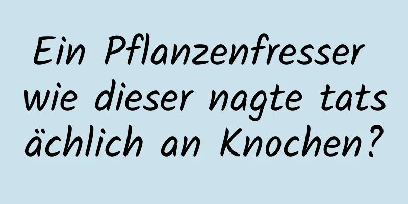 Ein Pflanzenfresser wie dieser nagte tatsächlich an Knochen?