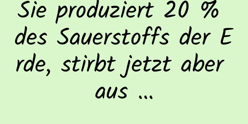 Sie produziert 20 % des Sauerstoffs der Erde, stirbt jetzt aber aus …