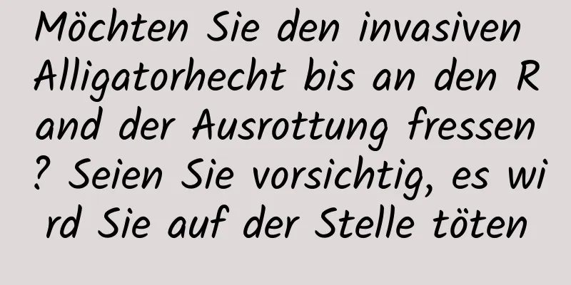 Möchten Sie den invasiven Alligatorhecht bis an den Rand der Ausrottung fressen? Seien Sie vorsichtig, es wird Sie auf der Stelle töten