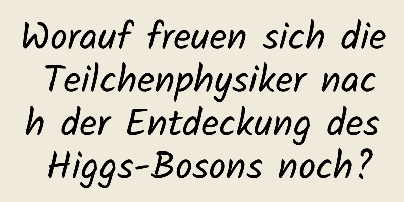 Worauf freuen sich die Teilchenphysiker nach der Entdeckung des Higgs-Bosons noch?
