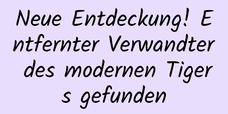 Neue Entdeckung! Entfernter Verwandter des modernen Tigers gefunden