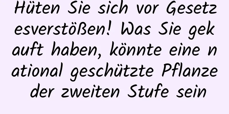 Hüten Sie sich vor Gesetzesverstößen! Was Sie gekauft haben, könnte eine national geschützte Pflanze der zweiten Stufe sein