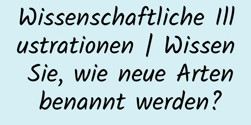 Wissenschaftliche Illustrationen | Wissen Sie, wie neue Arten benannt werden?
