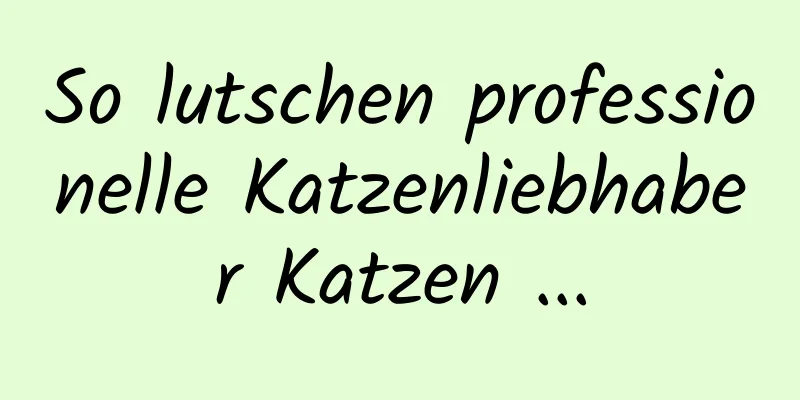 So lutschen professionelle Katzenliebhaber Katzen ...