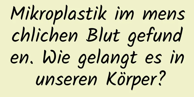 Mikroplastik im menschlichen Blut gefunden. Wie gelangt es in unseren Körper?