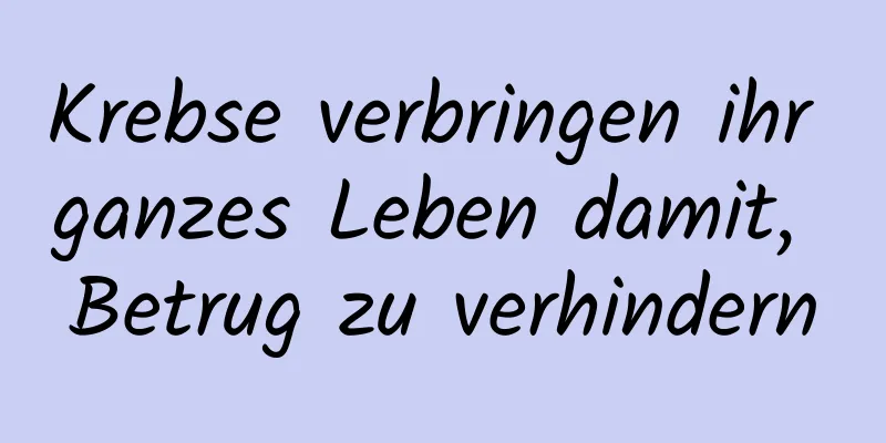 Krebse verbringen ihr ganzes Leben damit, Betrug zu verhindern