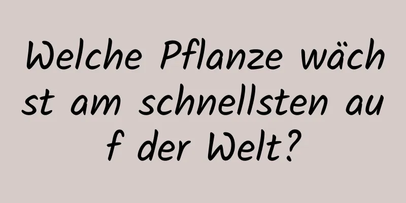 Welche Pflanze wächst am schnellsten auf der Welt?