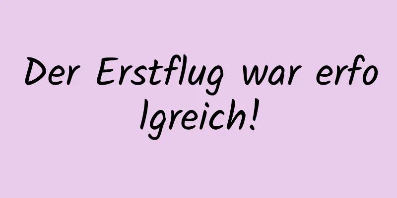 Der Erstflug war erfolgreich!