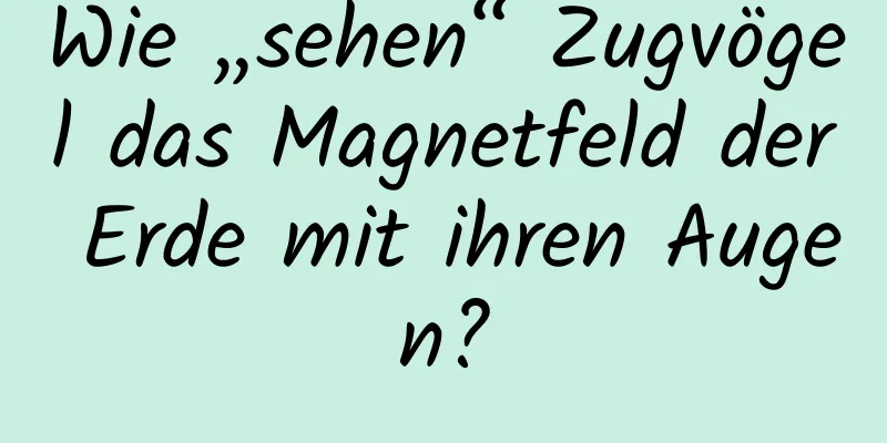 Wie „sehen“ Zugvögel das Magnetfeld der Erde mit ihren Augen?