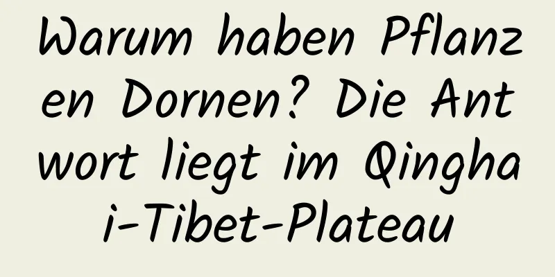Warum haben Pflanzen Dornen? Die Antwort liegt im Qinghai-Tibet-Plateau