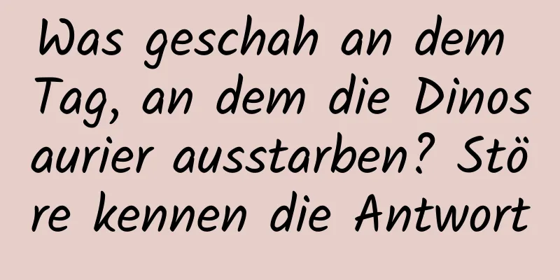 Was geschah an dem Tag, an dem die Dinosaurier ausstarben? Störe kennen die Antwort