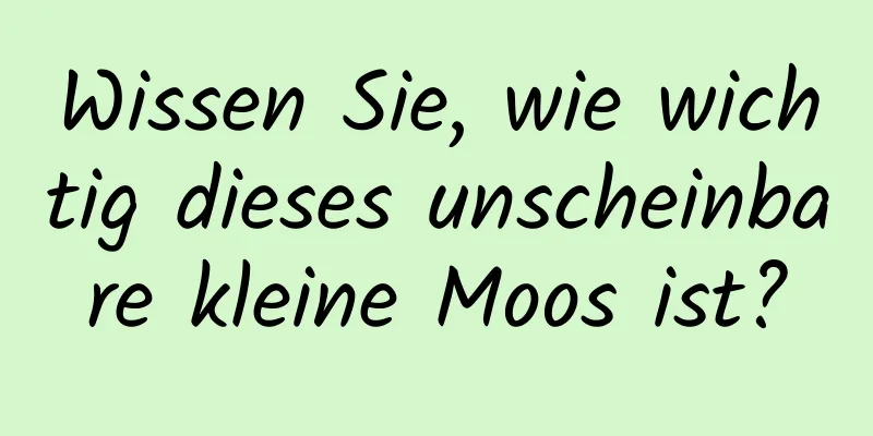 Wissen Sie, wie wichtig dieses unscheinbare kleine Moos ist?