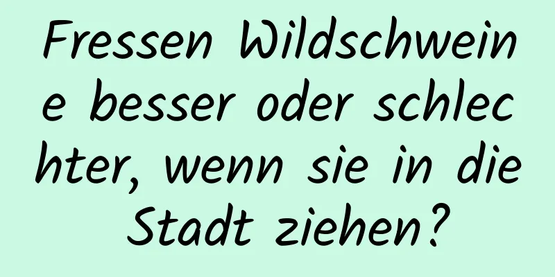 Fressen Wildschweine besser oder schlechter, wenn sie in die Stadt ziehen?
