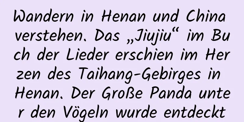 Wandern in Henan und China verstehen. Das „Jiujiu“ im Buch der Lieder erschien im Herzen des Taihang-Gebirges in Henan. Der Große Panda unter den Vögeln wurde entdeckt