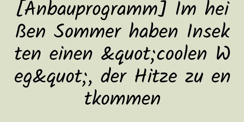 [Anbauprogramm] Im heißen Sommer haben Insekten einen "coolen Weg", der Hitze zu entkommen
