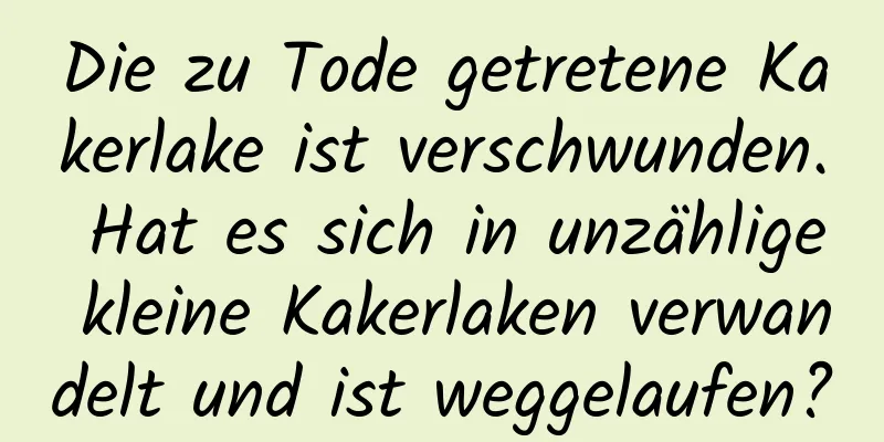 Die zu Tode getretene Kakerlake ist verschwunden. Hat es sich in unzählige kleine Kakerlaken verwandelt und ist weggelaufen?