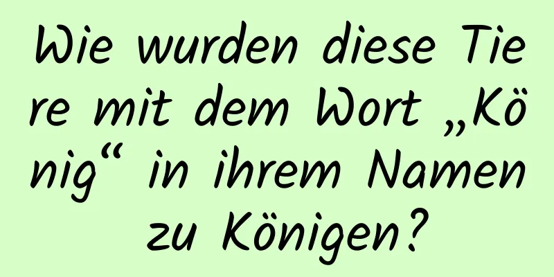 Wie wurden diese Tiere mit dem Wort „König“ in ihrem Namen zu Königen?
