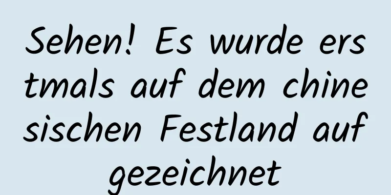 Sehen! Es wurde erstmals auf dem chinesischen Festland aufgezeichnet