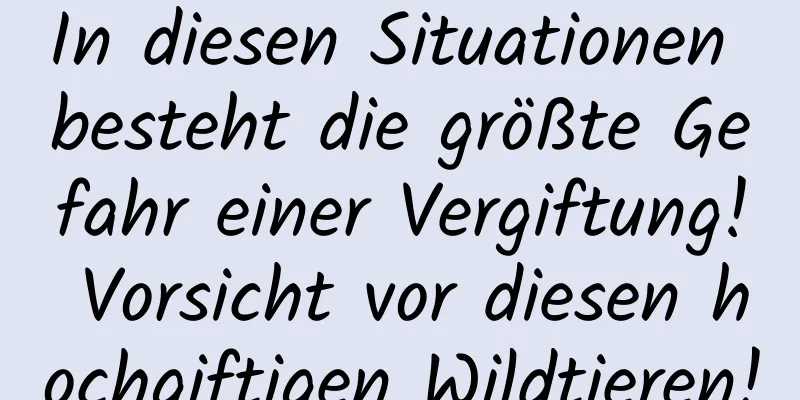 In diesen Situationen besteht die größte Gefahr einer Vergiftung! Vorsicht vor diesen hochgiftigen Wildtieren!