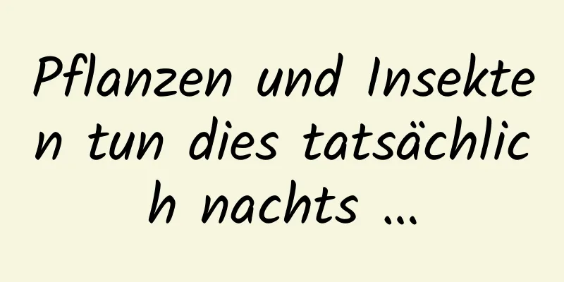 Pflanzen und Insekten tun dies tatsächlich nachts …