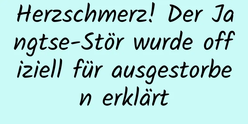 Herzschmerz! Der Jangtse-Stör wurde offiziell für ausgestorben erklärt
