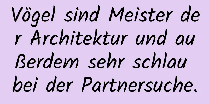 Vögel sind Meister der Architektur und außerdem sehr schlau bei der Partnersuche.