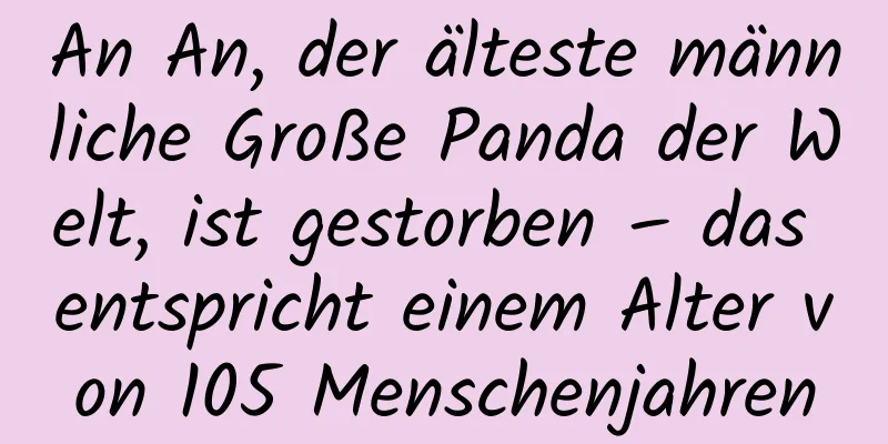 An An, der älteste männliche Große Panda der Welt, ist gestorben – das entspricht einem Alter von 105 Menschenjahren