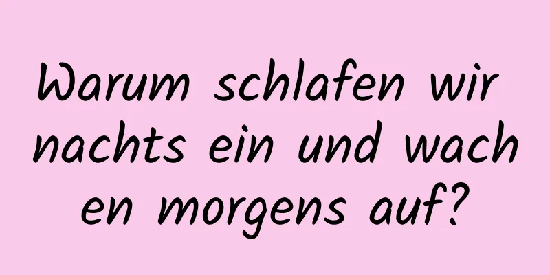 Warum schlafen wir nachts ein und wachen morgens auf?