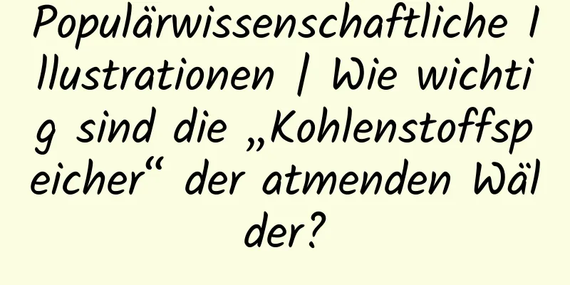 Populärwissenschaftliche Illustrationen | Wie wichtig sind die „Kohlenstoffspeicher“ der atmenden Wälder?