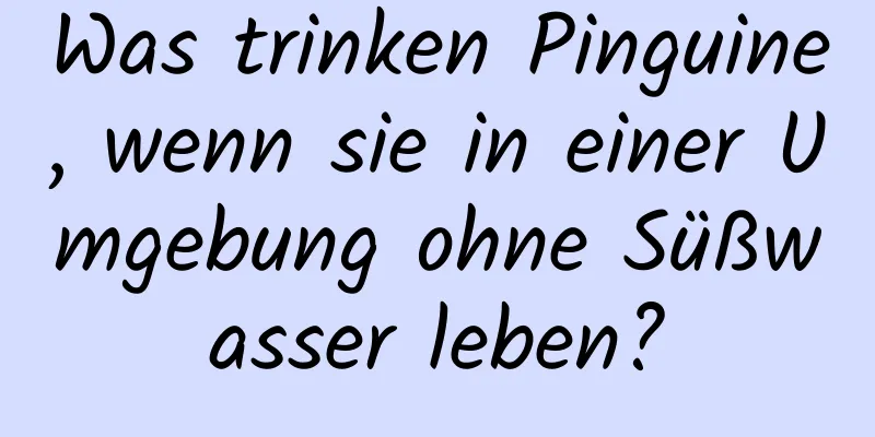 Was trinken Pinguine, wenn sie in einer Umgebung ohne Süßwasser leben?