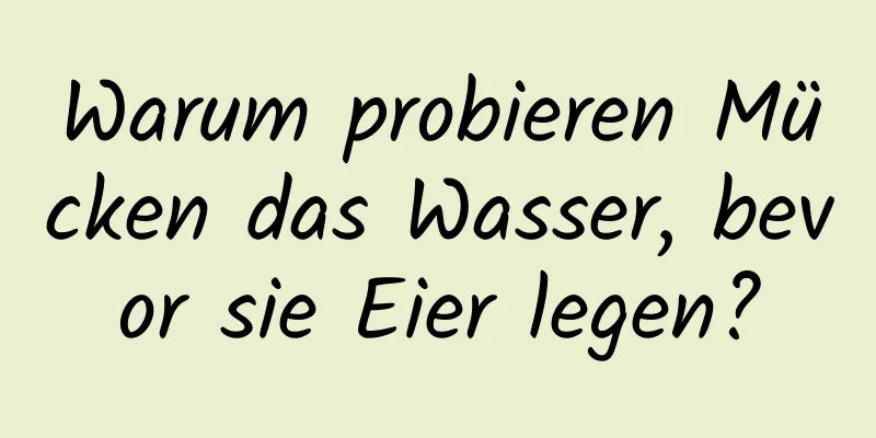 Warum probieren Mücken das Wasser, bevor sie Eier legen?