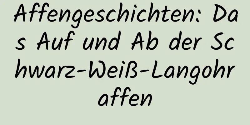 Affengeschichten: Das Auf und Ab der Schwarz-Weiß-Langohraffen