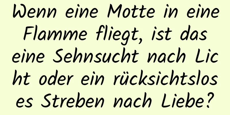 Wenn eine Motte in eine Flamme fliegt, ist das eine Sehnsucht nach Licht oder ein rücksichtsloses Streben nach Liebe?