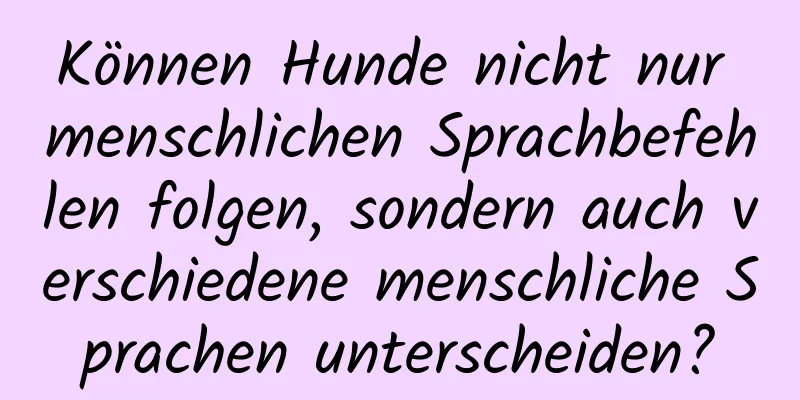 Können Hunde nicht nur menschlichen Sprachbefehlen folgen, sondern auch verschiedene menschliche Sprachen unterscheiden?