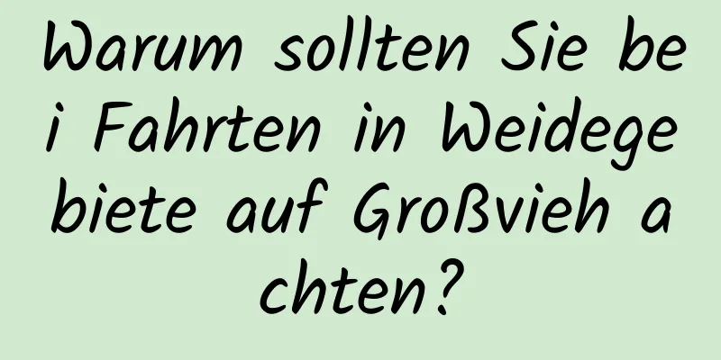 Warum sollten Sie bei Fahrten in Weidegebiete auf Großvieh achten?