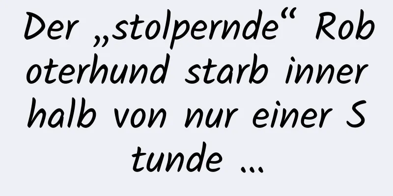 Der „stolpernde“ Roboterhund starb innerhalb von nur einer Stunde …