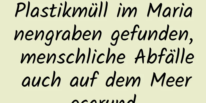 Plastikmüll im Marianengraben gefunden, menschliche Abfälle auch auf dem Meeresgrund