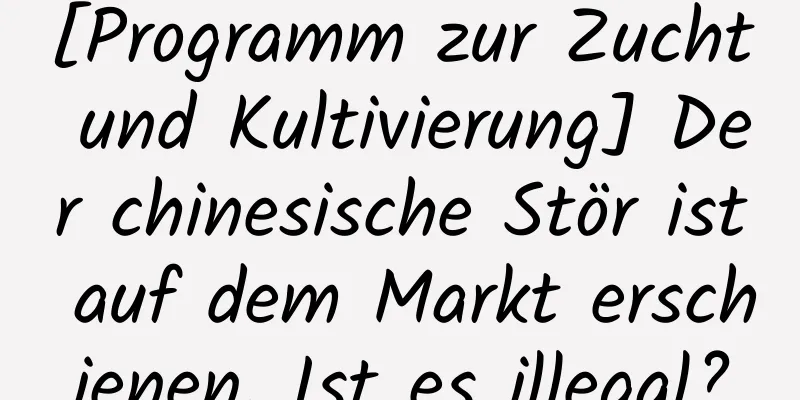 [Programm zur Zucht und Kultivierung] Der chinesische Stör ist auf dem Markt erschienen. Ist es illegal?
