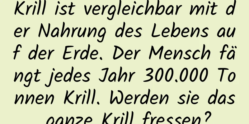 Krill ist vergleichbar mit der Nahrung des Lebens auf der Erde. Der Mensch fängt jedes Jahr 300.000 Tonnen Krill. Werden sie das ganze Krill fressen?