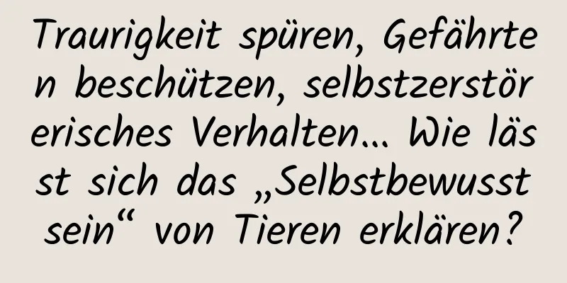 Traurigkeit spüren, Gefährten beschützen, selbstzerstörerisches Verhalten... Wie lässt sich das „Selbstbewusstsein“ von Tieren erklären?